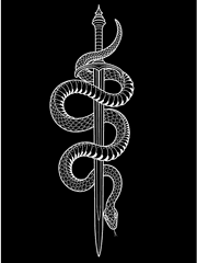 당보귀환 - 암폭비(暗爆匕)