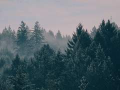 여름의 손금 -10-