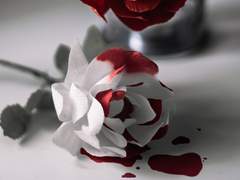 은재박사 / Metaplasia