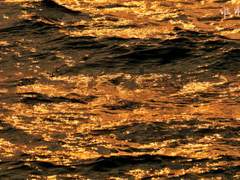 [마르코] 친애하는 나의 종말에게 (15)