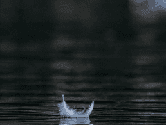 [20230925] 白尸奇談 백시기담