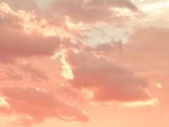 나의 여름에게 3