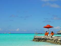 [책리뷰] 동의보감 몸과 우주 그리고 삶의 비전을 찾아서/고미숙 지음