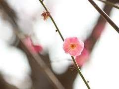 [당보청명] 친우(親友)가 아프다길래,