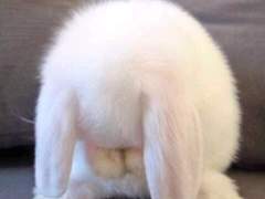 이동혁이랑 헤어졌다 3시간만에 재결합 한썰..