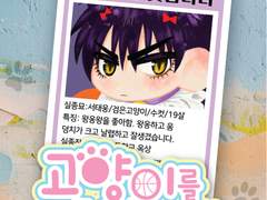 태웅대만배포전 대11