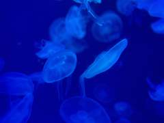 엉망이었던 소비습관 고친 방법