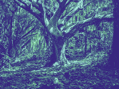 [ 오모리 ] : 적에 대한 사실들! 정리 글