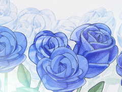 수채 장미 브러쉬&소재 배포