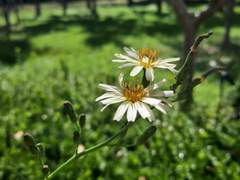 먼저 만나자고 보챈 사람이 누군데 갑자기 이렇게 나오기야?