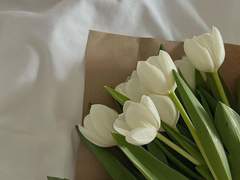 알바 커미션 샘플(2)