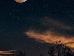 이른 첫눈에 나타난 사신