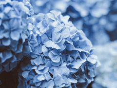 [고백로그] 나의 기린에게 마음을 담아···․