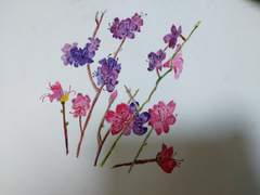 도감 따라그리기2