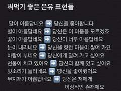 짧은 썰 백업 모음집 11탄