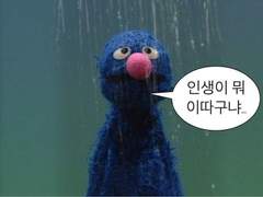 시험 망친 인간 등장 두둥탁