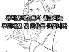 고전) 베토벤 꾸미기
