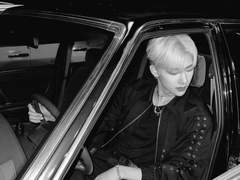 길고양이를 동정하지 마세요 上