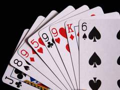 나미오카 코토네_공개프로필