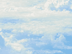 류신우 근거리부 男 172