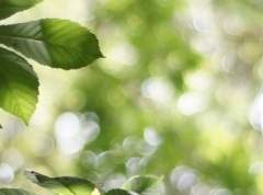 이 곳에서 나와 함께 장난을 즐겨주실 수 있으신가요?