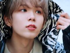 라이즈 쇼타로 사주 풀이