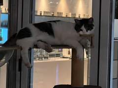 (3)부모님을 그리워하는 문대에 슬퍼하지 않을 멤버없다.