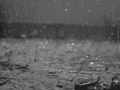 오늘의 기분은?