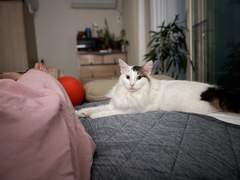 공부하기 위해서는 체력이 생명