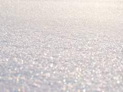 끝까지 저러지!