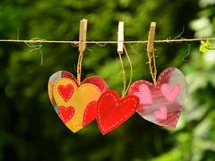 [릭벨릭] 금어초.