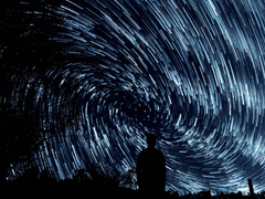 [GL] 산세베리아 001.