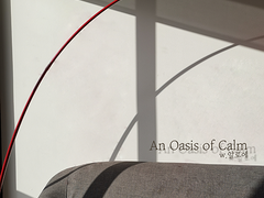 [현제유진] An Oasis of Calm (29)