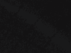 sensitive stable af s1ep01