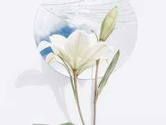 [릴리스네ts]릴리가 스네이프한테 고백하는 썰