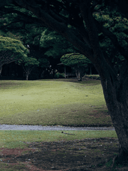 그 여름은 우리에게 다시 오지 못할 여행