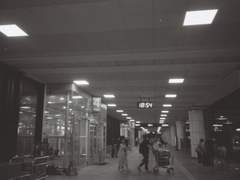 내가 홀로 서는 법은