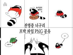 영중 너굴 프박 파일