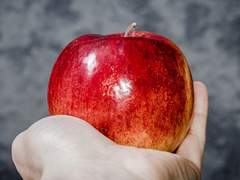 [헤르히카] 대면