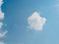 01. 샤를로테 C. 셀레스티아