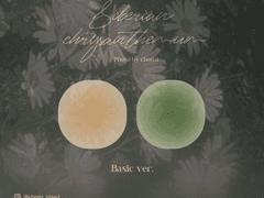 CHOMI│apk 구절초 카카오톡 테마 - 안드로이드