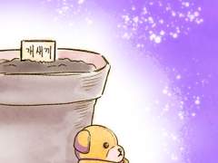 이름 모르는 식물