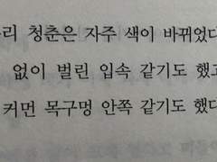 에리카 한 송이