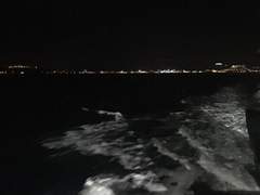 위태로운 방랑자.