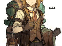 젤다의 전설 야생의 숨결/왕국의 눈물 드림주 프로필