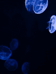 너에게 전하고 싶은 말.