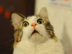 [태태/단편] 힙하게, 힙아(프)게 (1)