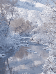 네가 아닌 다른 사람을 사랑하는 방법