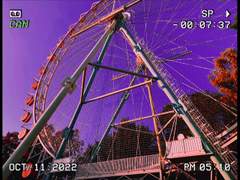 청춘에도 끝이 있다