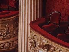 Patrick R. Buleujua/Xy/Gryffindor/혼혈